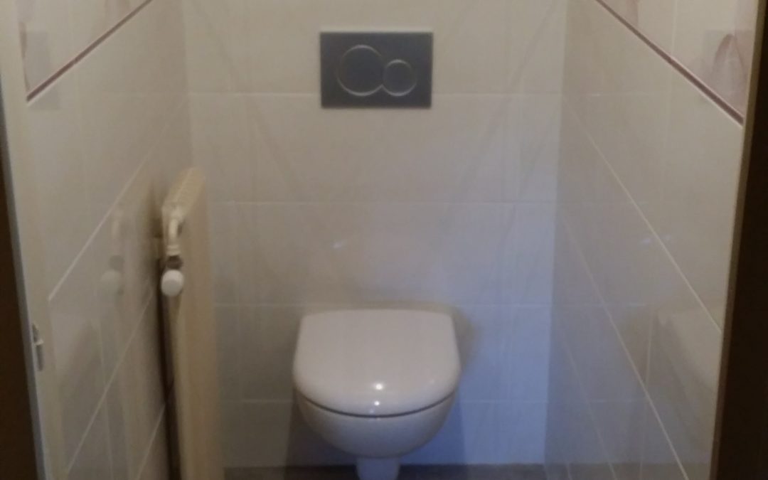 Wc suspendu et faience florale